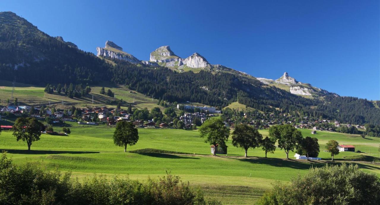 Willa Winterfell Leysin Zewnętrze zdjęcie